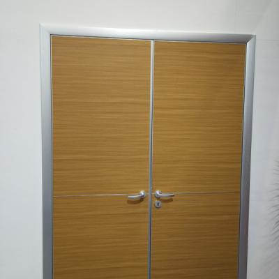 Partition door 