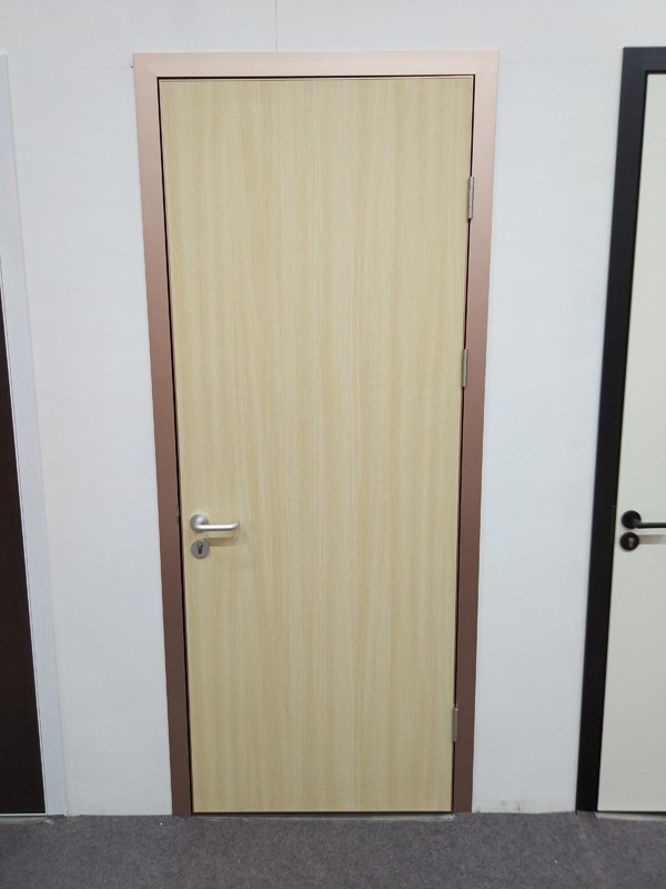 Partition door 